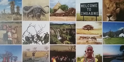 Plumtree Tours & Safaris