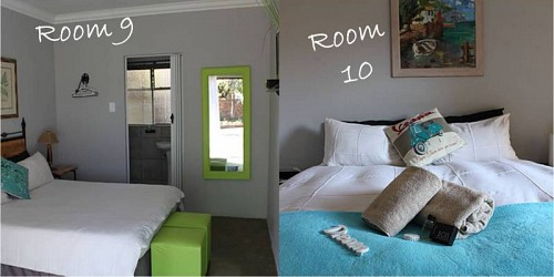 Gorgeous Gecko Guesthouse