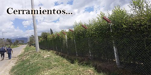 HIPERMALLAS G. U.