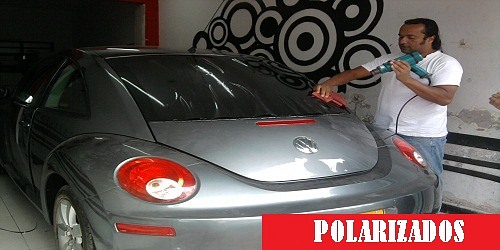 CAR PLOTT, polarizados y publicidad