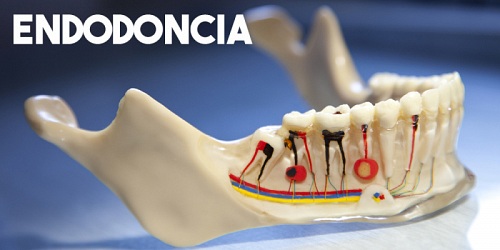 INNOVA DENTAL - Dr. Pedro Loor Crespo