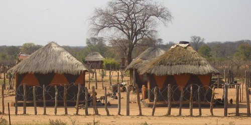 Plumtree Tours & Safaris