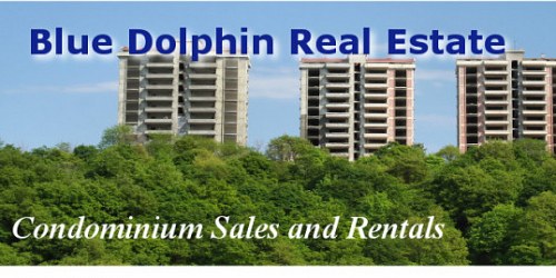 Real Estate Penonome Blue Dolphin