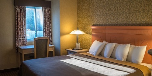 All Seasons Inn & Suites