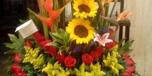 FLORISTERIAS GLORIA Y EL MANA