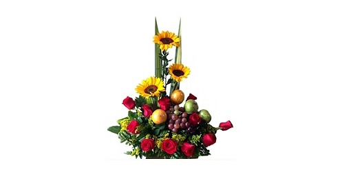 FLORES DE MEDELLIN SANDANY