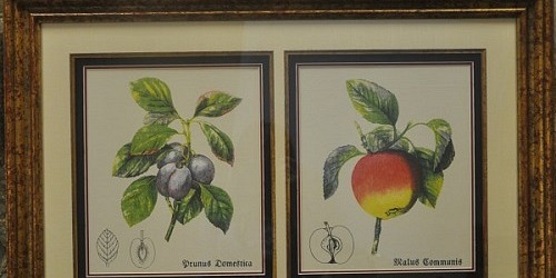 Caran Art & Frame