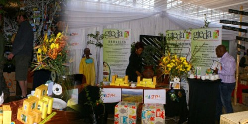 Greater Tzn Economic Development Agency 
