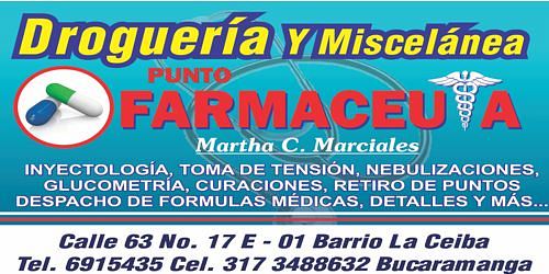DROGUERIA MISCELANEA PUNTO FARMACEUTA