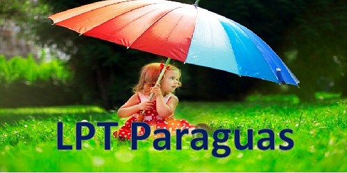 VENTA DE PARAGUAS POR MAYOR LPT
