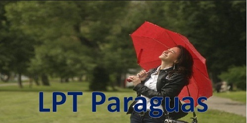 VENTA DE PARAGUAS POR MAYOR LPT