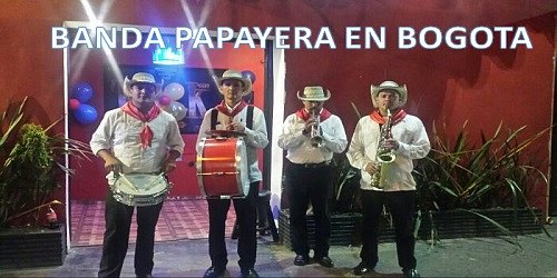 banda papayera ritmo y sabor