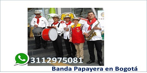 banda papayera ritmo y sabor
