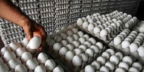 HUEVOS TERY VILLAVICENCIO
