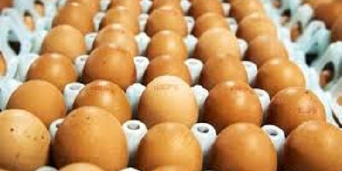 HUEVOS TERY VILLAVICENCIO