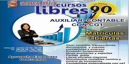 SYSTEM PLUS PALMIRA