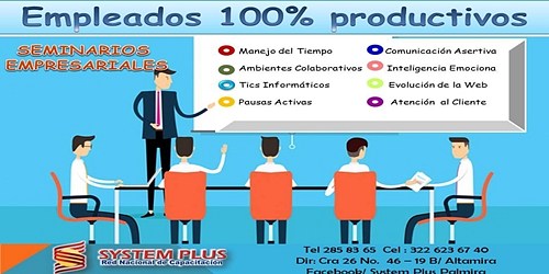 SYSTEM PLUS PALMIRA