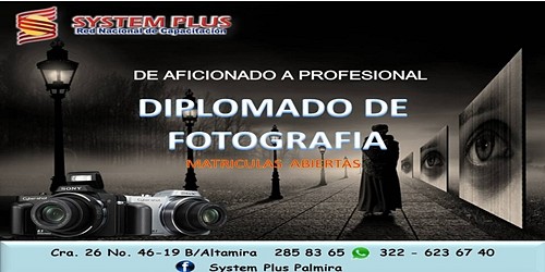 SYSTEM PLUS PALMIRA