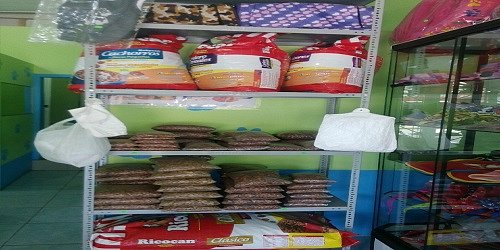 CLINICA VETERINARIA EL ARCA