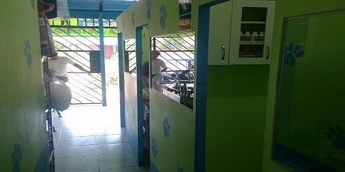 CLINICA VETERINARIA EL ARCA