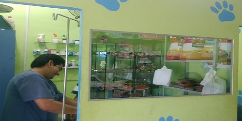 CLINICA VETERINARIA EL ARCA