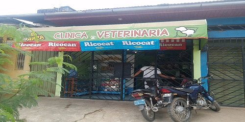 CLINICA VETERINARIA EL ARCA