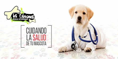 LA CASONA VETERINARIA