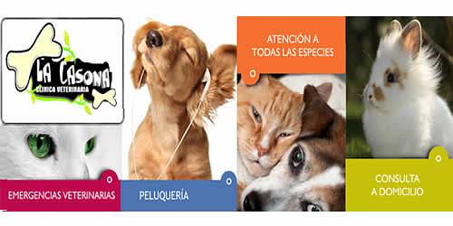 LA CASONA VETERINARIA