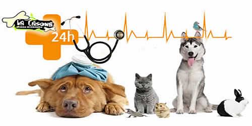 LA CASONA VETERINARIA