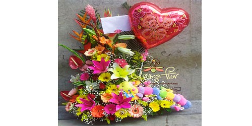 FLORISTERIA AROMA FLOR