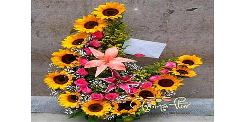 FLORISTERIA AROMA FLOR