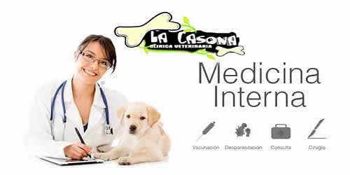 LA CASONA VETERINARIA