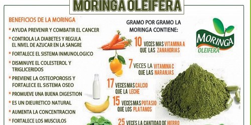 VENTA DE MORINGA Super Alimento y Medicina Natural Ecuador
