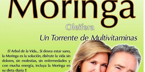 VENTA DE MORINGA Super Alimento y Medicina Natural Ecuador