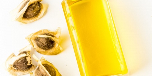 VENTA DE MORINGA Super Alimento y Medicina Natural Ecuador