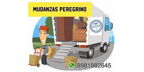 MUDANZAS PEREGRINO