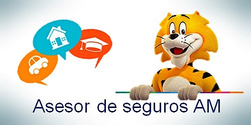 Asesor de seguros