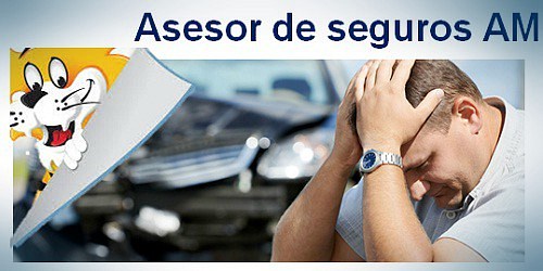 Asesor de seguros