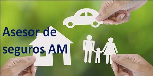 Asesor de seguros