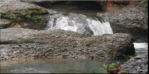 LA CASCADA EN EL VENADO VERDE