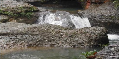LA CASCADA VENADO VERDE