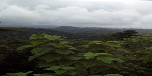 LA CASCADA VENADO VERDE