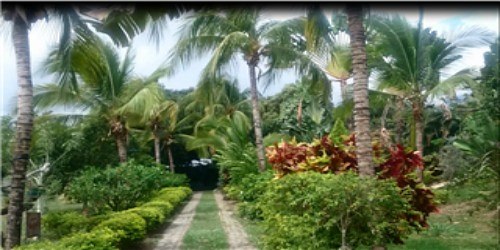 FINCA AGROTURISTICA VILLA AMOR NEIVA