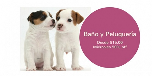 VETERINARIA CENTENARIO NORTE