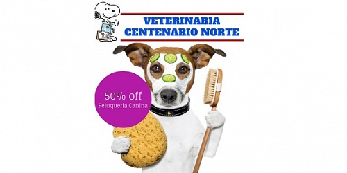 VETERINARIA CENTENARIO NORTE