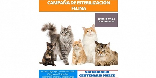 VETERINARIA CENTENARIO NORTE