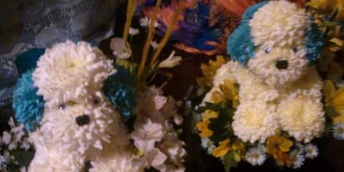 ARREGLOS FLORALES CRISANTEMOS FLORERIA