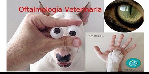 CENTRO VETERINARIO DEL NORTE