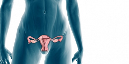 DR. LUIS HIDALGO GUERRERO - Ginecologìa y Obstetricia