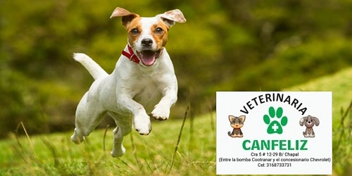 CANFELIZ- VETERINARIA